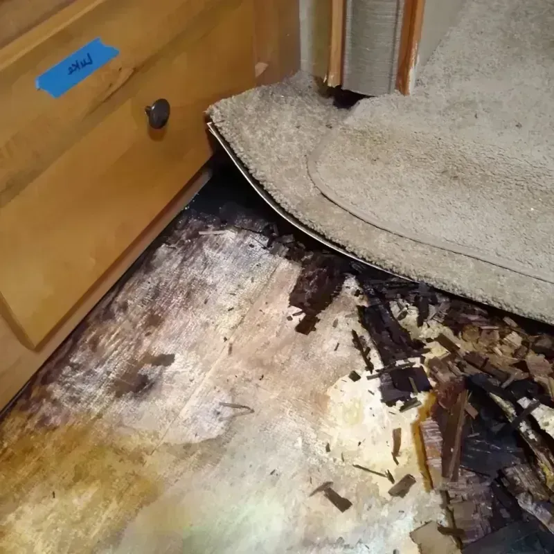 Wood Floor Water Damage in McAlester, OK